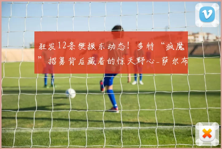 狂发12条樊振东动态！多特“疯魔”招募背后藏着的惊天野心_萨尔布吕肯_欧冠_原则