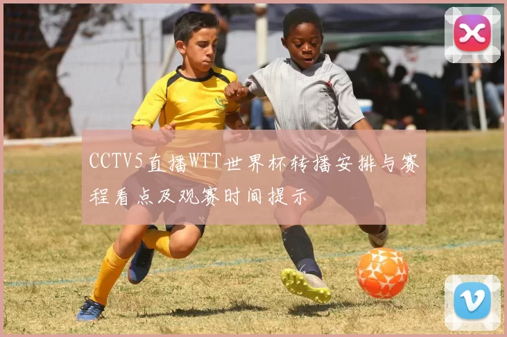 CCTV5直播WTT世界杯转播安排与赛程看点及观赛时间提示