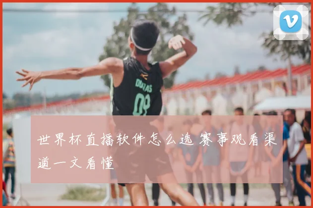 世界杯直播软件怎么选 赛事观看渠道一文看懂