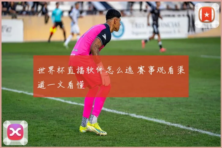 世界杯直播软件怎么选 赛事观看渠道一文看懂
